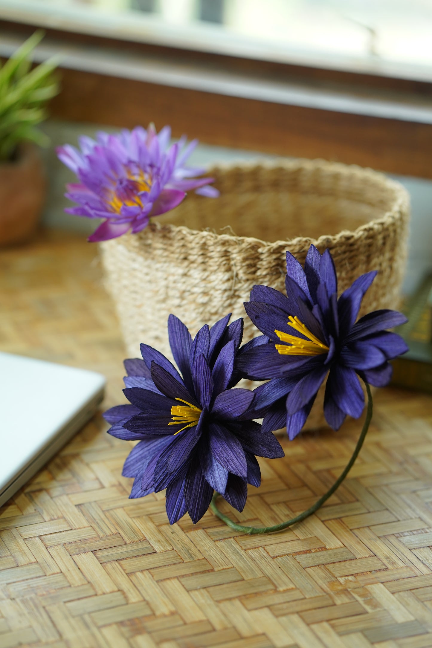 Water lily curtain tie