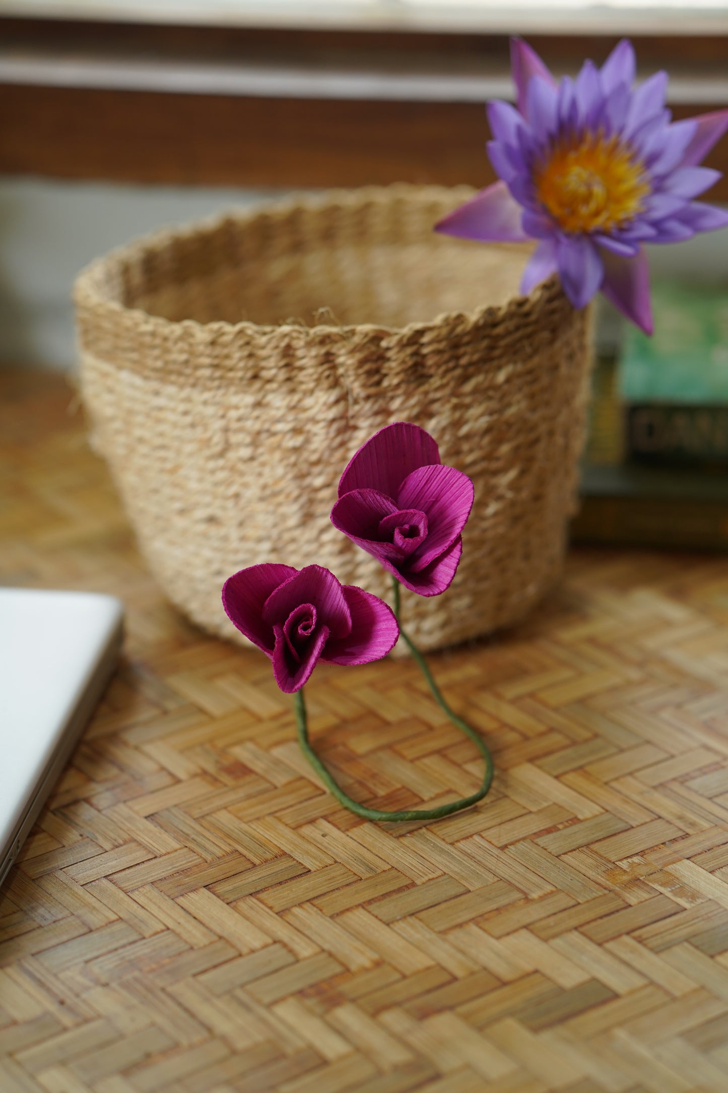 Tulip curtain tie
