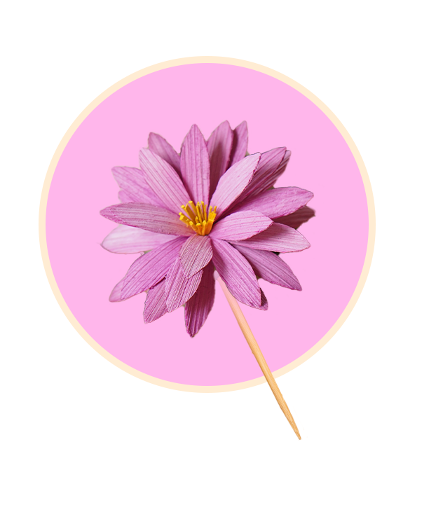 Water lily bun stick