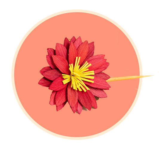 Water lily bun stick