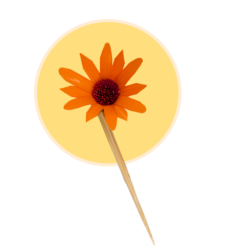 Susan bun stick
