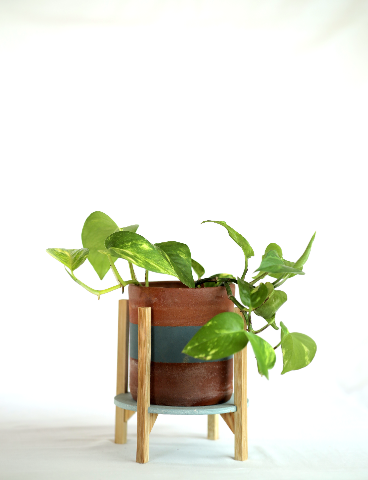 Maati Bamboo Planter M