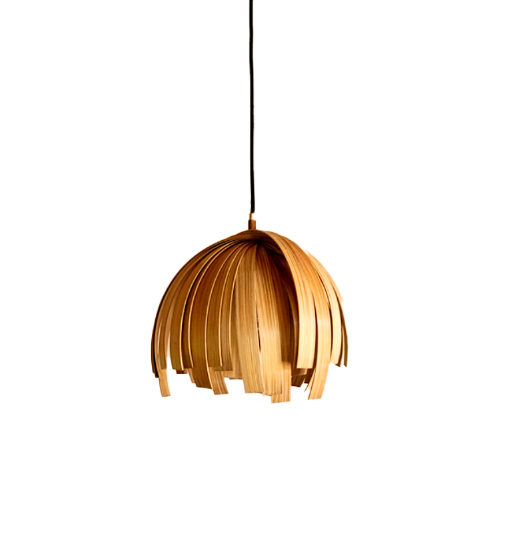 Thenga Pendant