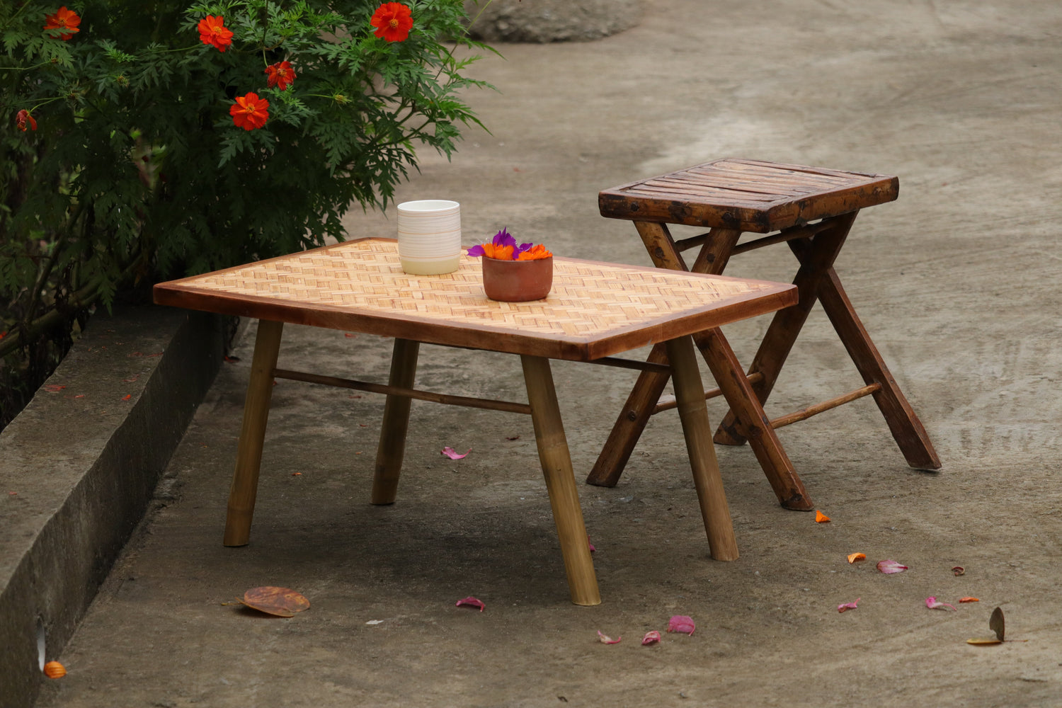 Interior and Furniture