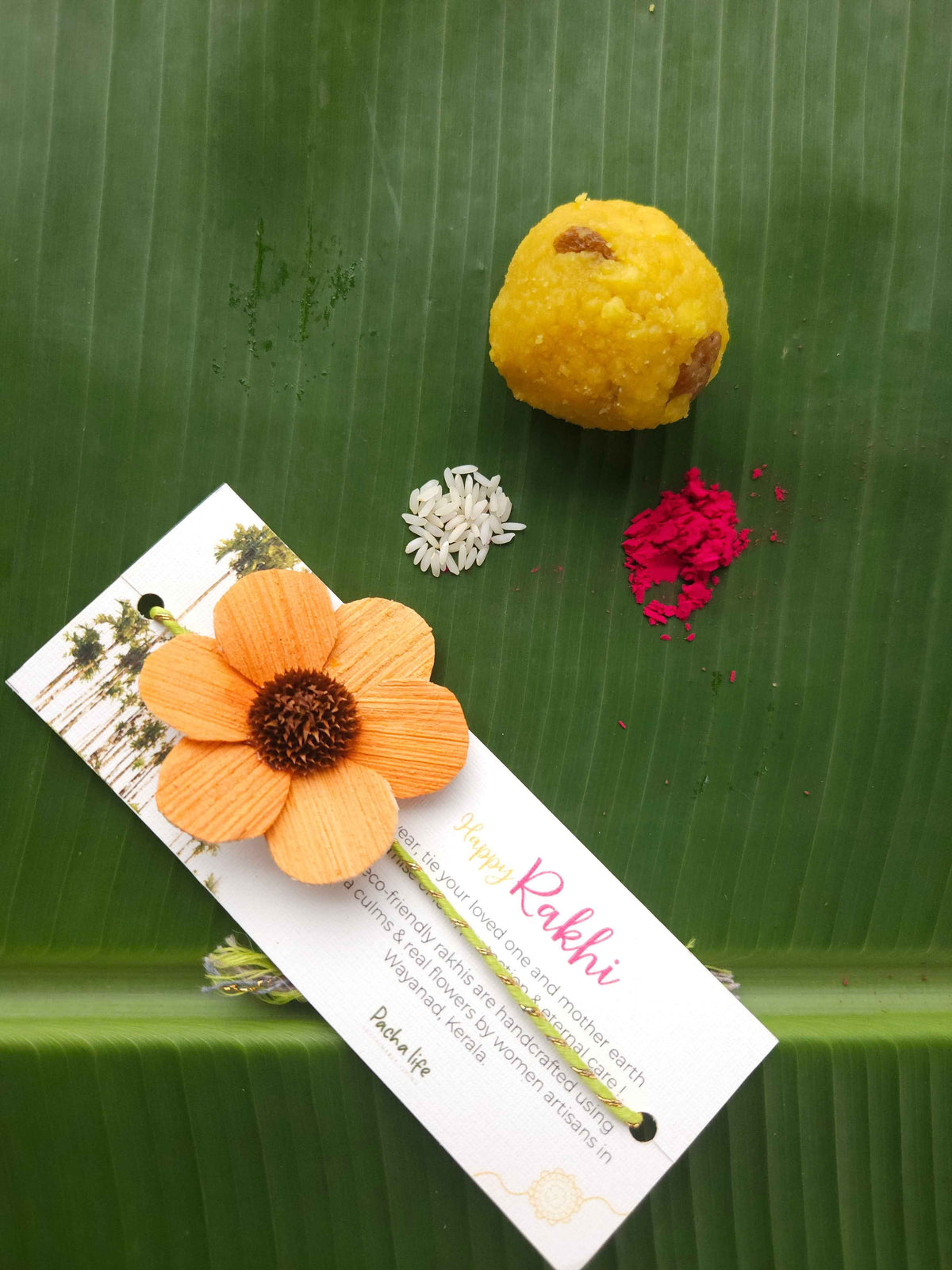 Rakhi Daisy