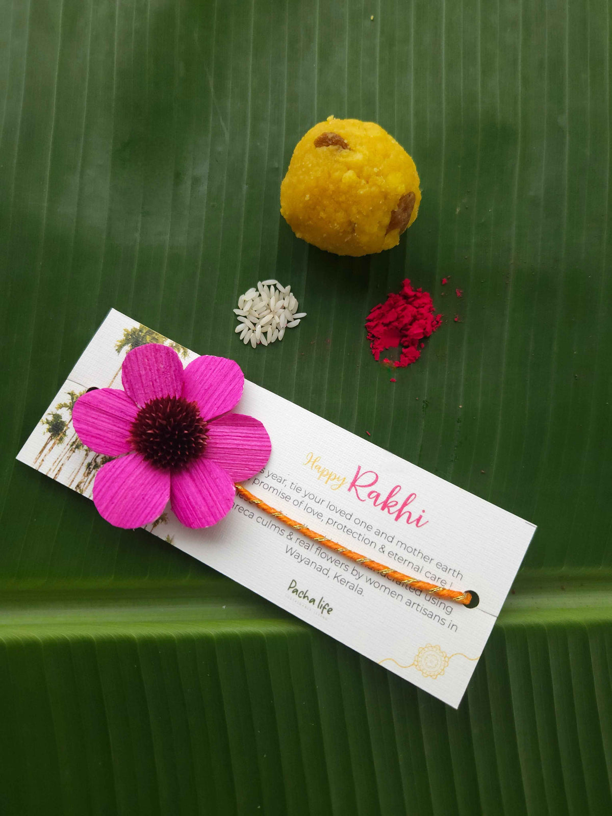 Rakhi Daisy