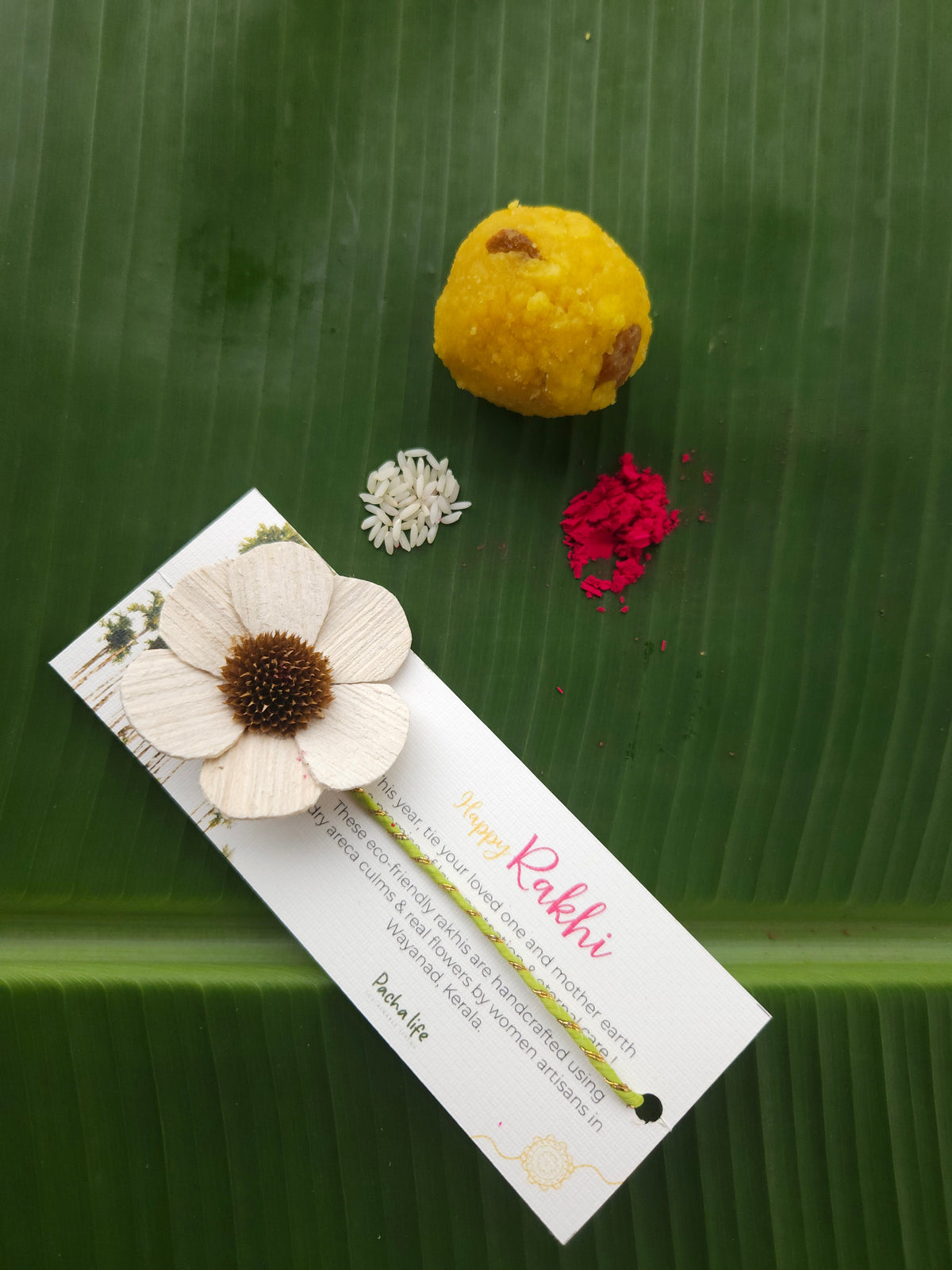 Rakhi Daisy