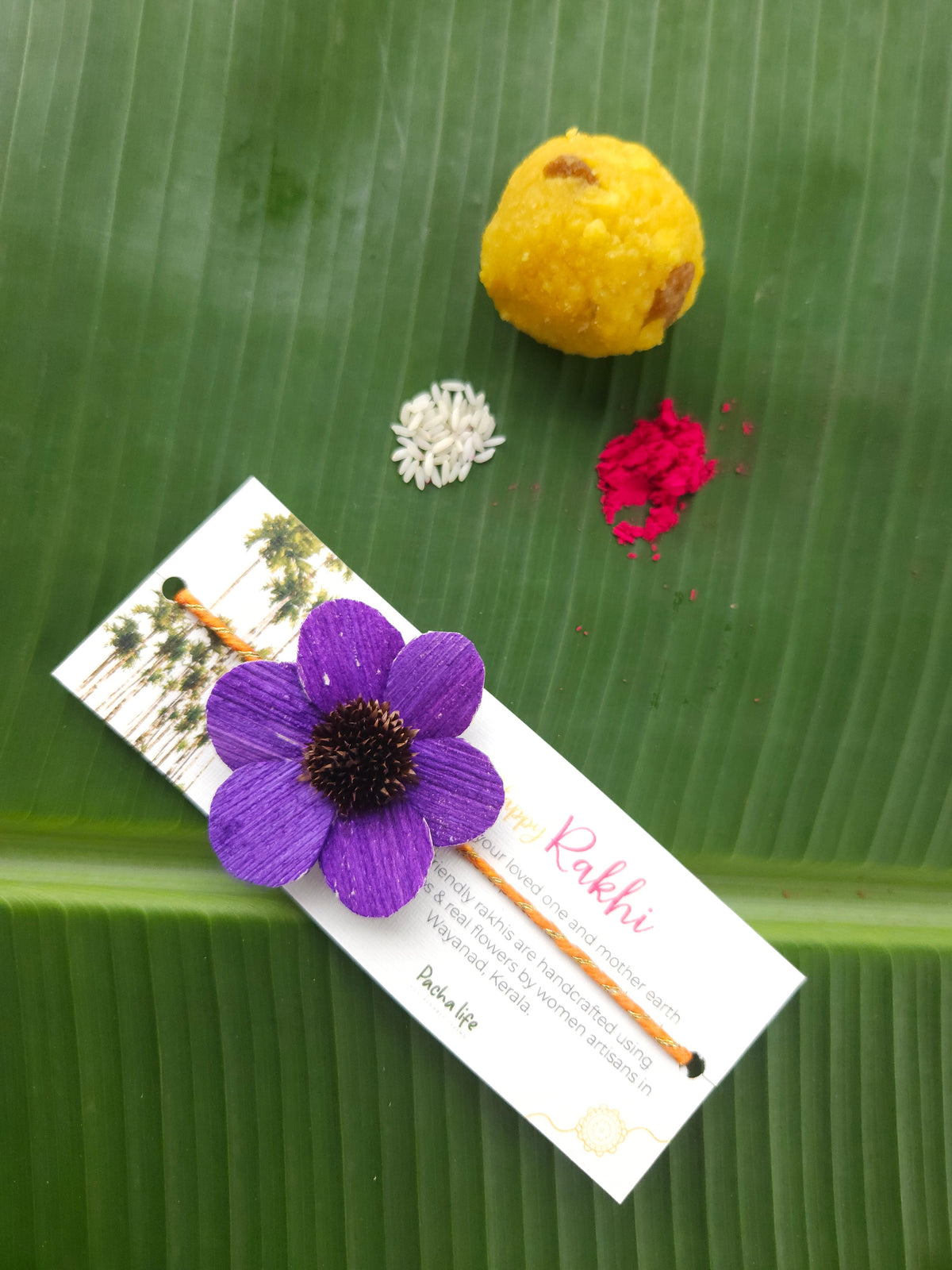 Rakhi Daisy