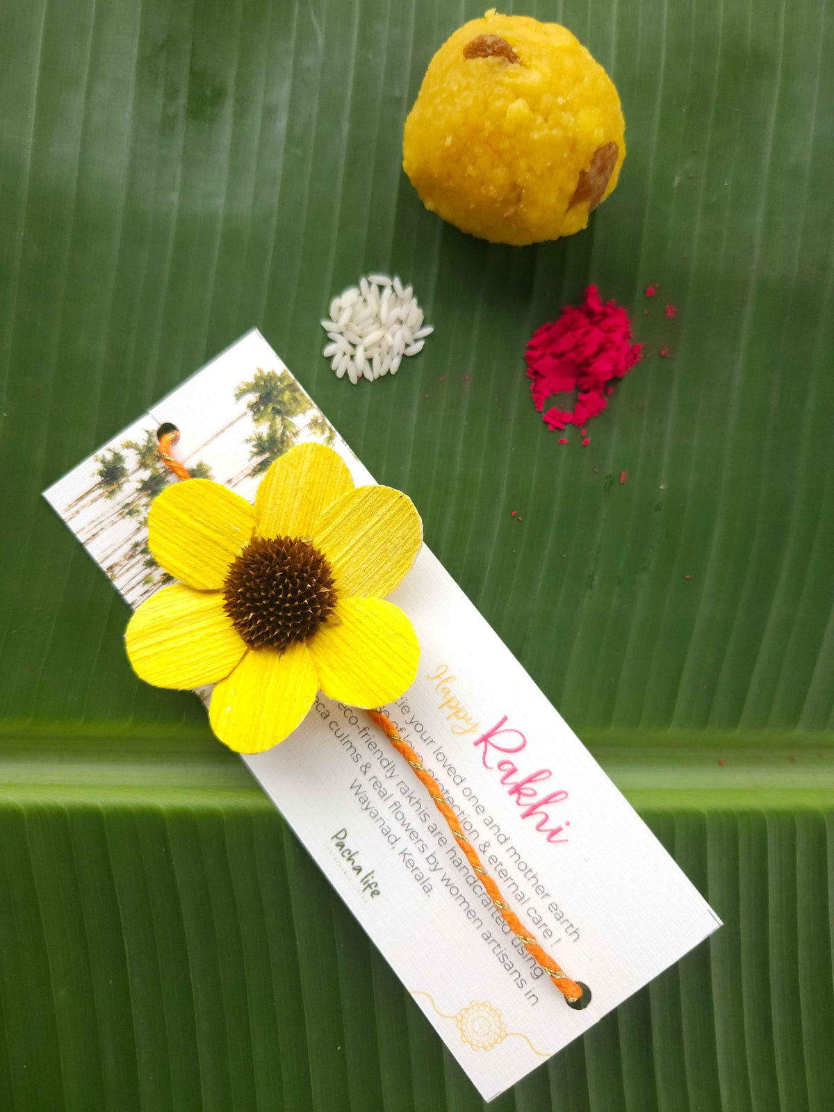 Rakhi Daisy