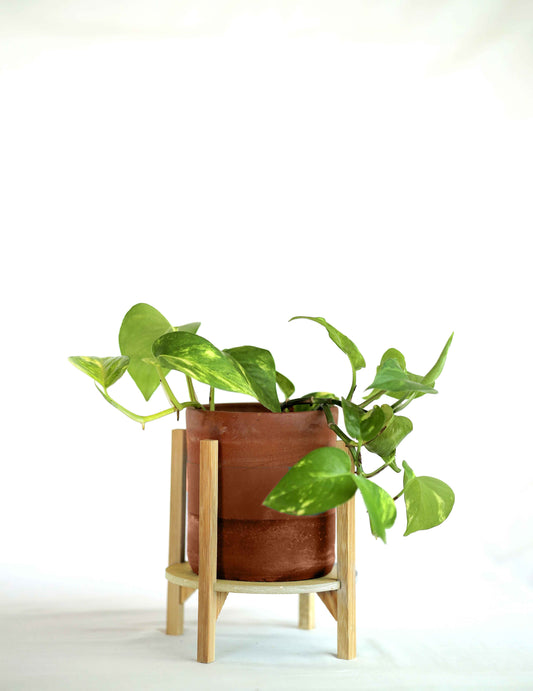 Maati Bamboo Planter M