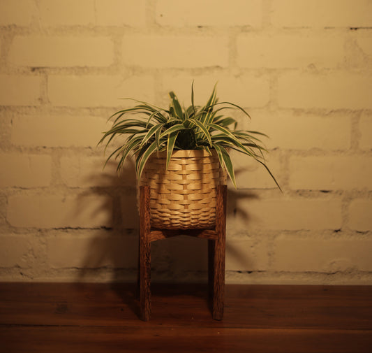 Forest Bamboo Planter