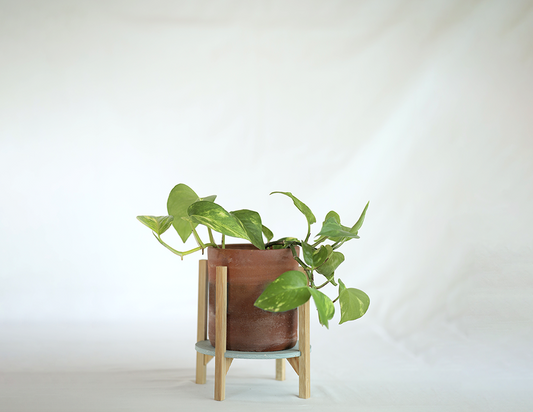Maati Bamboo Planter M