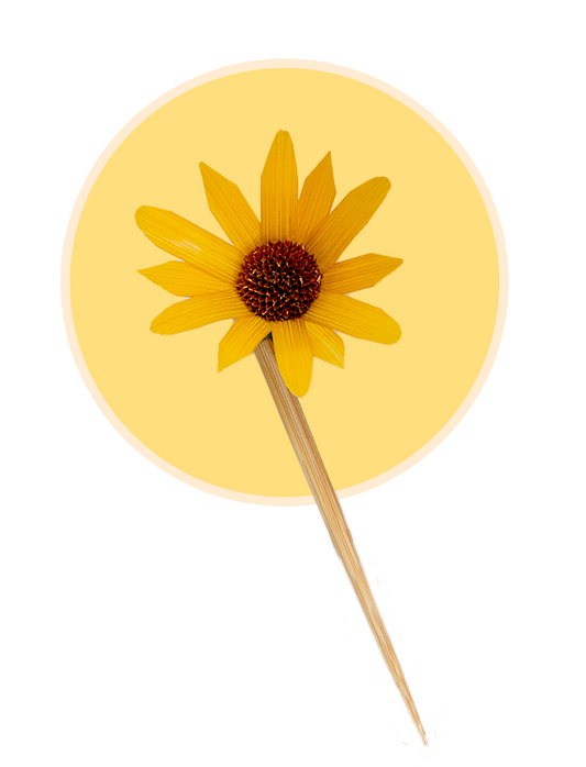 Susan bun stick