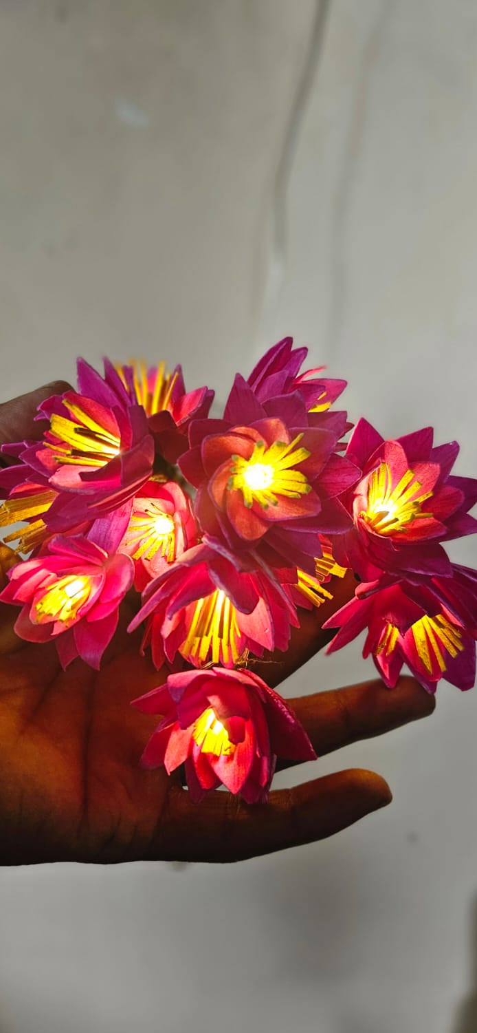 Water Lily Poov String Light